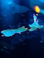 Snapshot of the Profession 2025