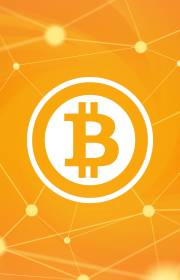 Bitcoin at a glance