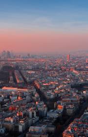 La vie en rose: My experience of the Paris International Training Programme