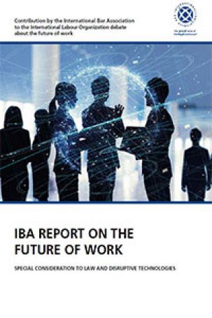 IBA work report